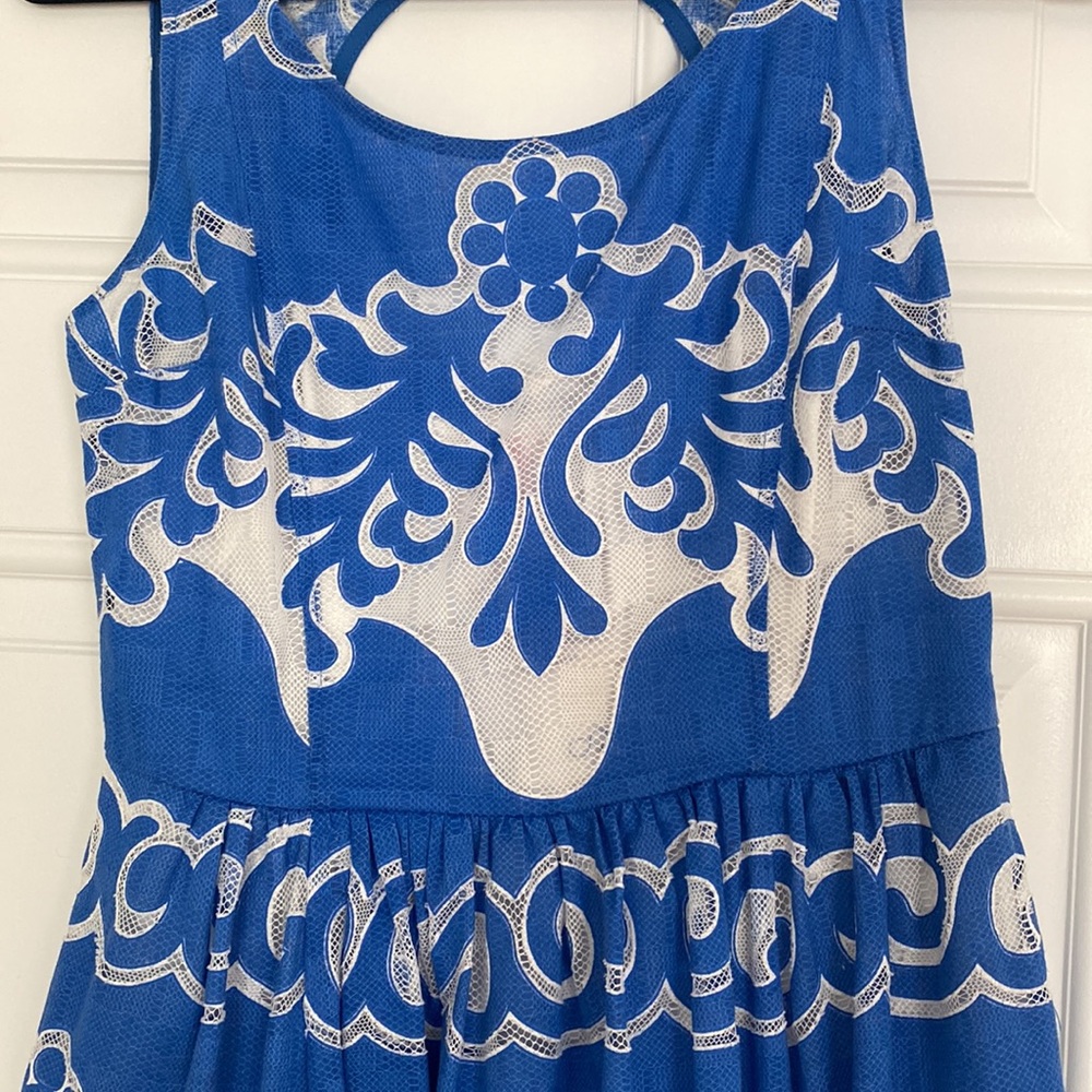 Anthropologie Blue and White Plenty by Tracy Reese Dress - Picture 4 of 9